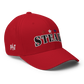 Steak Flex-Fit Hat